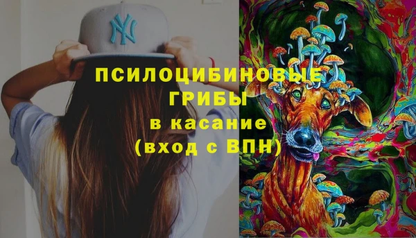 твердый Малоархангельск