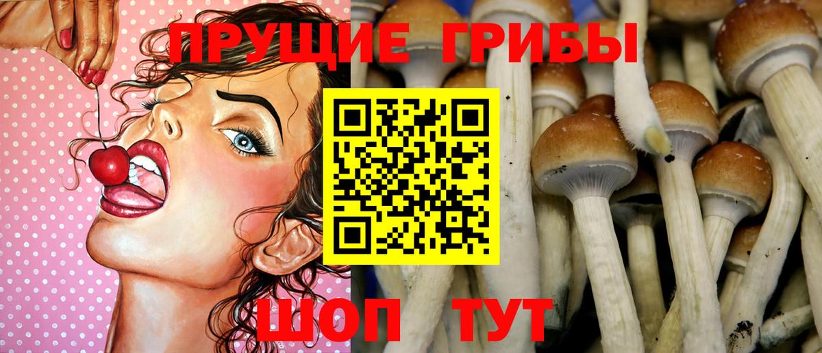 Темрюк  Галлюциногенные грибы Magic Shrooms  Вход с VPN  Псилоцибиновые грибы Psilocybe 